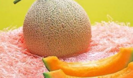 tai9最新吃瓜爆料